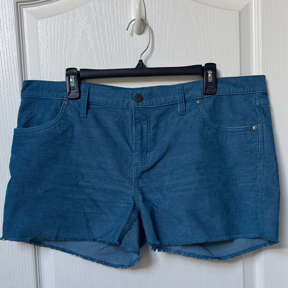 Carve Designs Blue Shorts